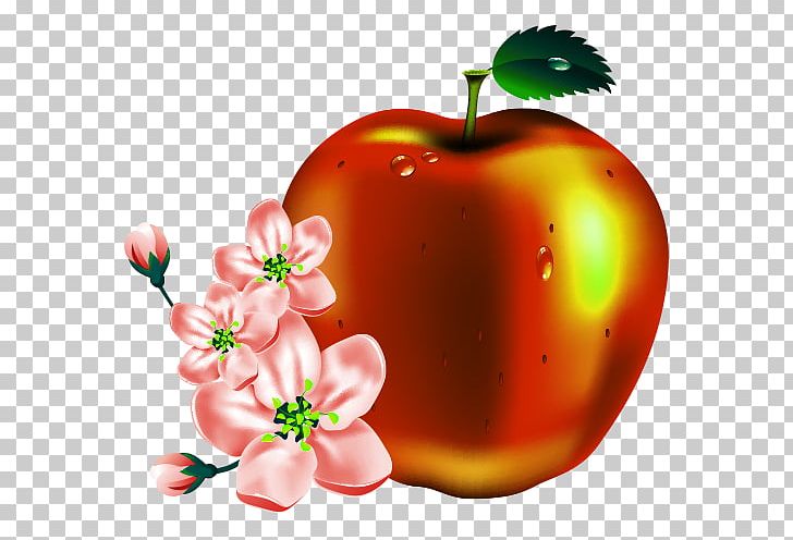 Apple Fruit PNG, Clipart, Appl, Cartoon, Cartoon Character, Cartoon Cloud, Cartoon Eyes Free PNG Download