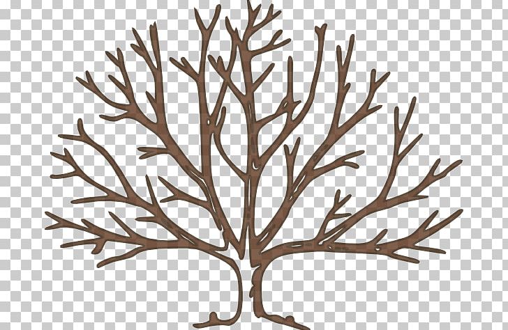 Tree PNG, Clipart, Bare, Bare Tree Template, Black And White, Blog, Branch Free PNG Download