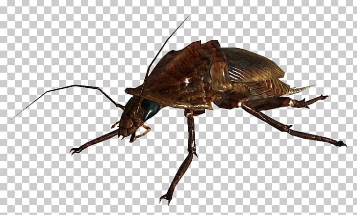 Fallout 3 Fallout: New Vegas Fallout 4 Fallout Shelter Wasteland PNG, Clipart, Arthropod, Beetle, Bethesda Softworks, Character Creation, Ellen Deloria Free PNG Download