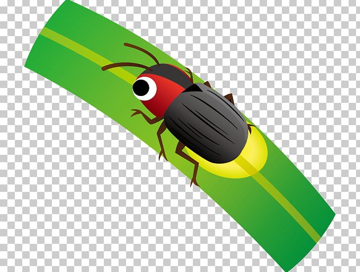 Insect Illustration Firefly Product Design PNG, Clipart, Animals, Download, Firefly, Insect, Invertebrate Free PNG Download