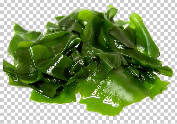 Japanese Cuisine Wakame Seaweed Kelp Miso Soup PNG, Clipart, Algae, Aonori, Choy Sum, Collard Greens, Dulse Free PNG Download