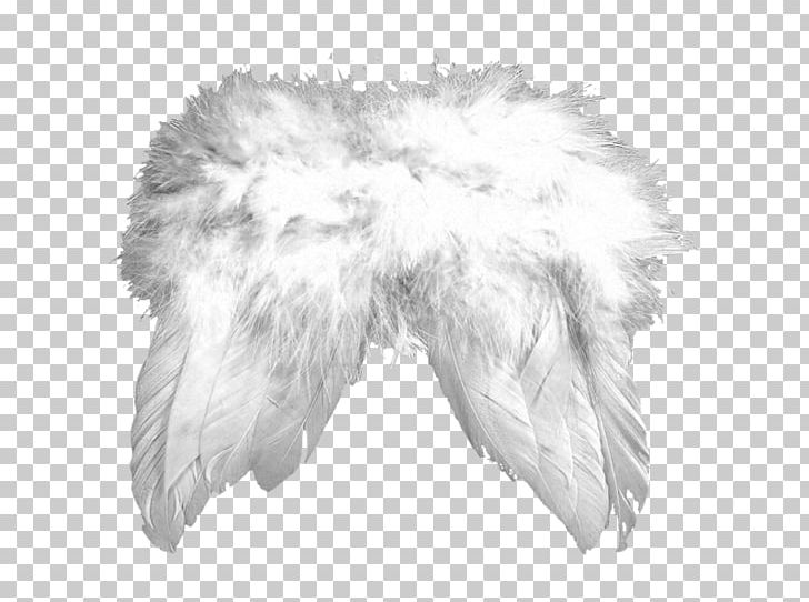 Fur Character White Fiction PNG, Clipart, Ailes, Black And White, Character, Feather, Fiction Free PNG Download