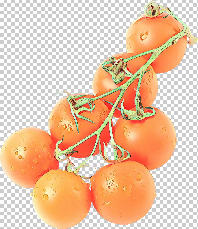 Orange PNG, Clipart, Cherry Tomatoes, Food, Fruit, Orange, Plant Free PNG Download