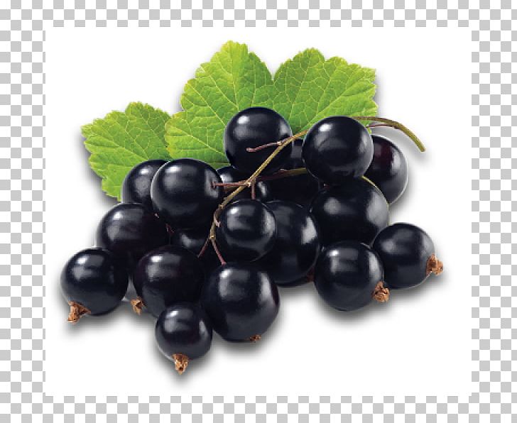 Blackcurrant Juice Redcurrant Berry Fruit PNG, Clipart, Bilberry, Blackberry, Blackcurrant Seed Oil, Black Raspberry, Blueberry Free PNG Download