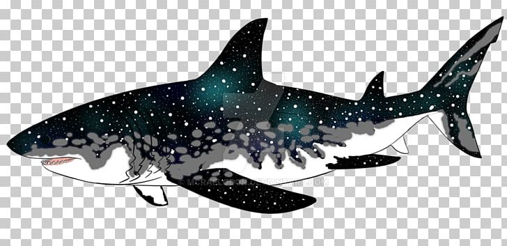 Megalodon Requiem Sharks Animal Marine Biology PNG, Clipart, Animal, Animal Figure, Animals, Biology, Cartilaginous Fish Free PNG Download