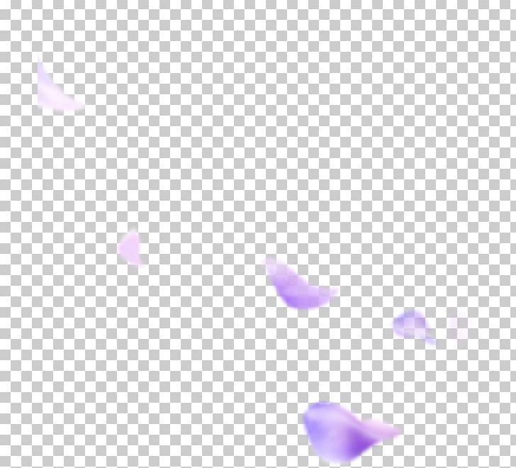 Purple Lilac Petal Lavender PNG, Clipart, Angle, Color, Download, Fall, Falling Free PNG Download