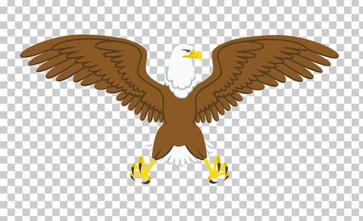 Bald Eagle PNG, Clipart, Animal, Bird, Cartoon, Cartoon Character, Cartoon Eyes Free PNG Download