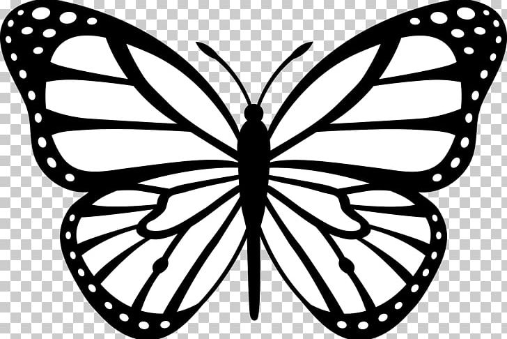 Monarch Butterfly Drawing PNG, Clipart, Artwork, Black Butterfly, Brush Footed Butterfly, Butterfly, Elephant Motif Free PNG Download