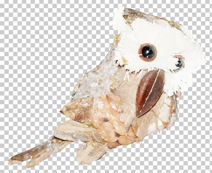 Owl Icon PNG, Clipart, Animal, Animals, Beak, Bird, Bird Of Prey Free PNG Download