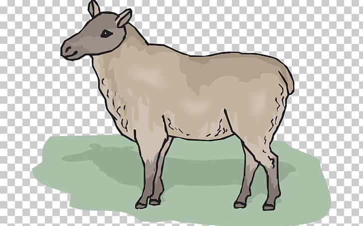 Cheviot Sheep PNG, Clipart, Cattle Like Mammal, Cheviot Sheep, Cow Goat Family, Donkey, Drawing Free PNG Download