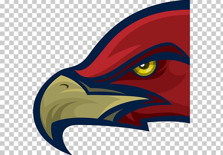 Mill Creek High School Hoschton Hawk Logo PNG, Clipart, Art, Beak, Bird, Bird Of Prey, Crop Free PNG Download
