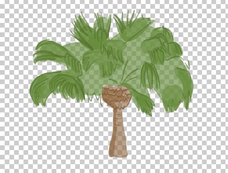 Palm Trees Trunk Palms Chamaerops PNG, Clipart, Arecales, Chamaerops, Flowerpot, Grass, Houseplant Free PNG Download