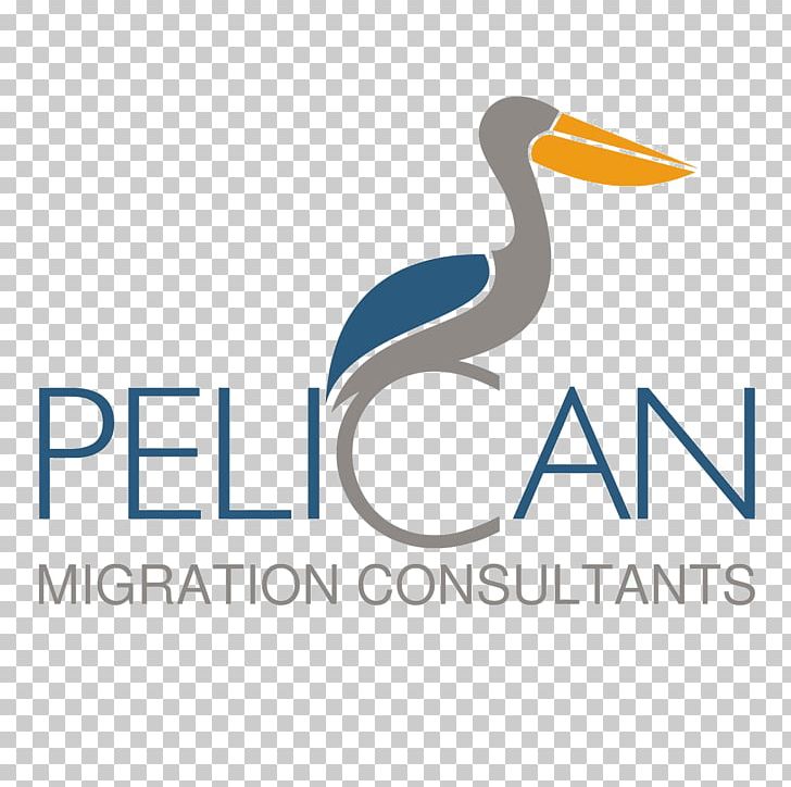 Pelican Migration Consultants PNG, Clipart, Business, Consulting , Dubai, Human Migration, Immigration Free PNG Download