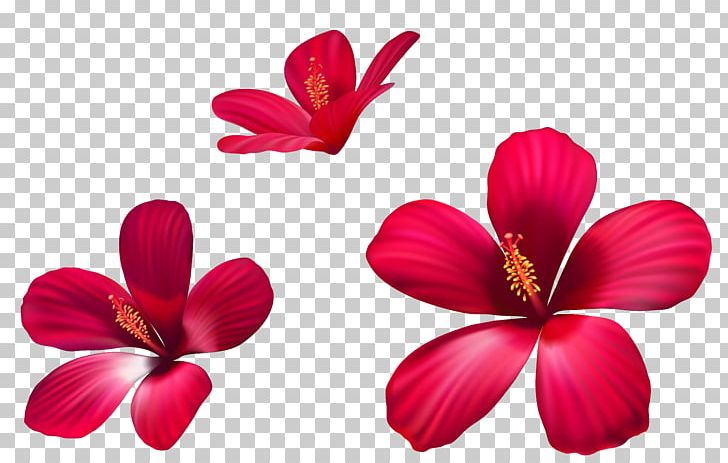 Pink Flowers PNG, Clipart, Cdr, Clip Art, Clipart, Color, Encapsulated Postscript Free PNG Download