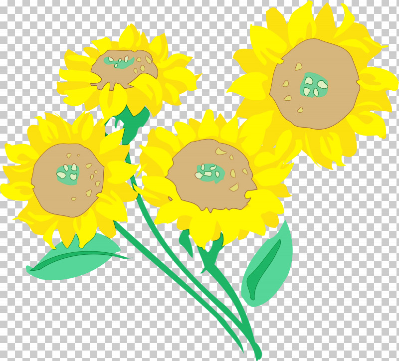 Sunflower PNG, Clipart, Cartoon, Cut Flowers, Daisy Family, Flower, Mayweed Free PNG Download