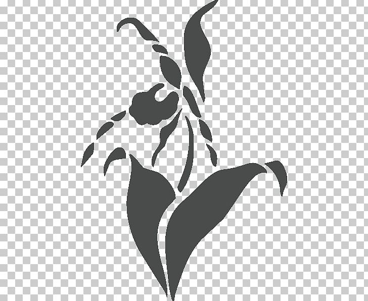 FL5 Interieur Ornament Plant Flower PNG, Clipart, 176, Art, Black, Black And White, Branch Free PNG Download