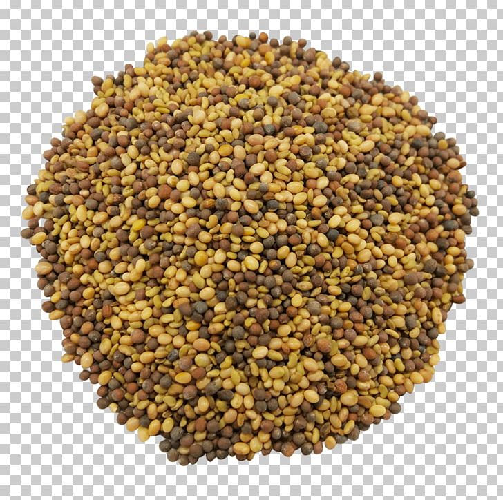 Mate Spice Za'atar Antioxidant Seed PNG, Clipart,  Free PNG Download