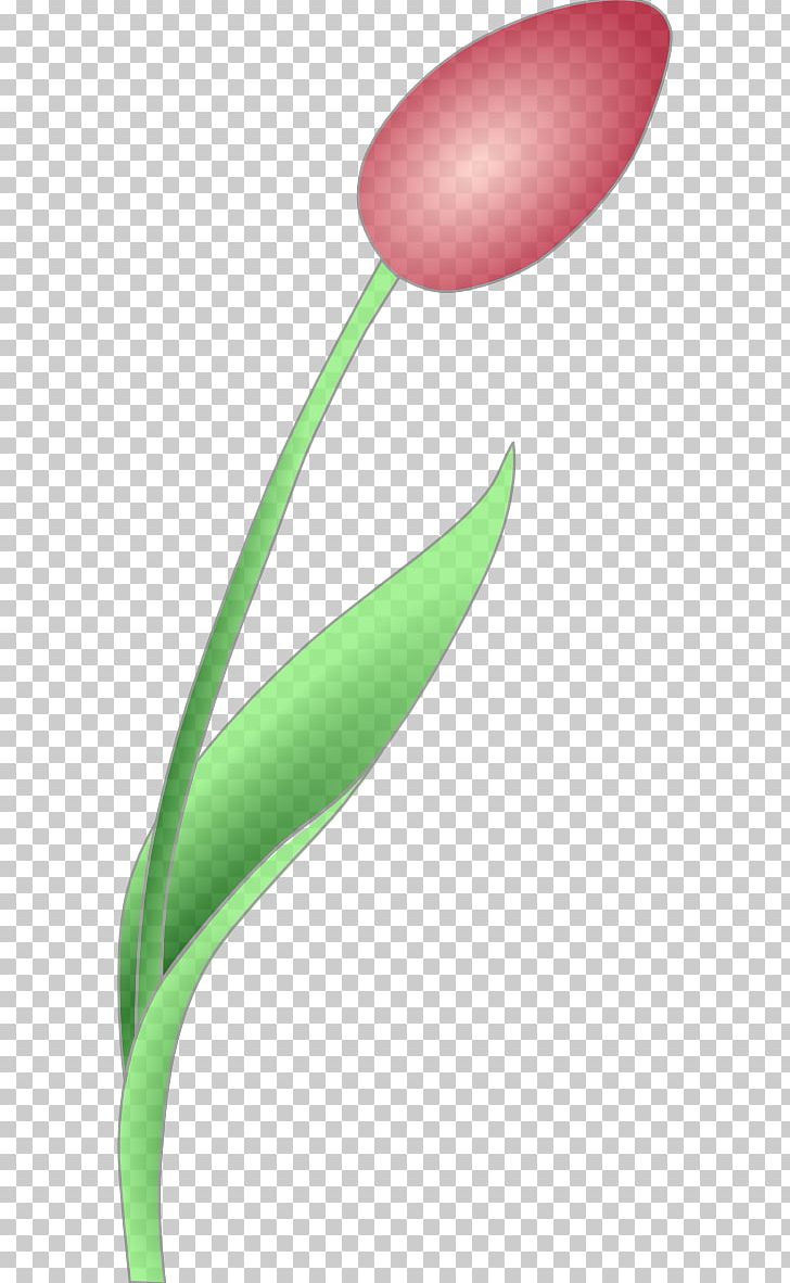 Tulip PNG, Clipart, Brush, Bud, Download, Drawing, Flower Free PNG Download