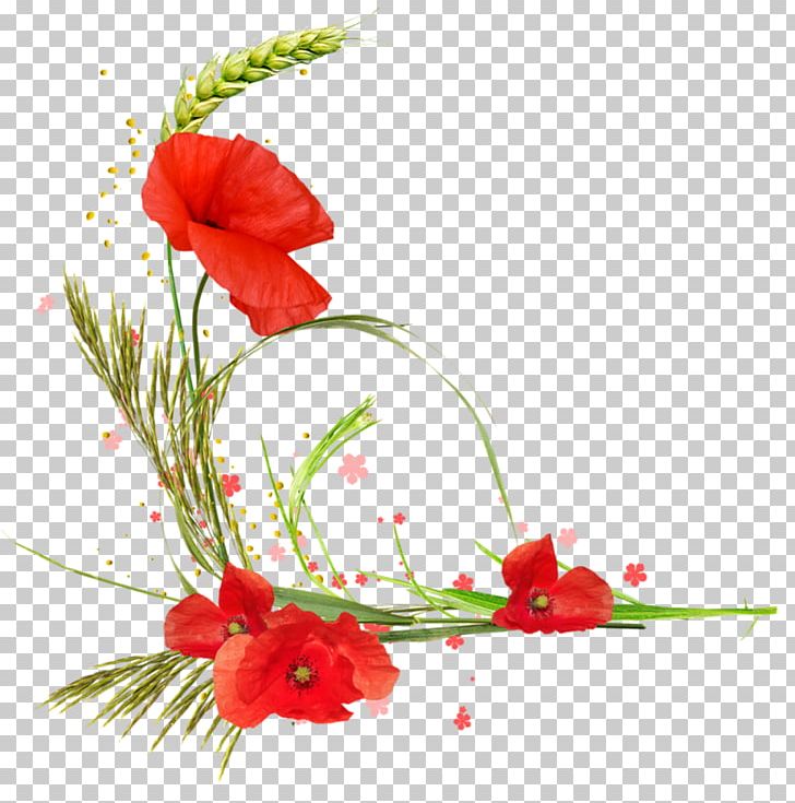 Common Poppy Floral Design Flower PNG, Clipart, Artificial Flower, Common Poppy, Coquelicot, Flower, Flower Arranging Free PNG Download