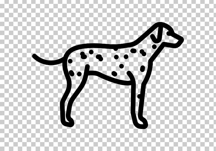 Dalmatian Dog French Bulldog Bernese Mountain Dog Jack Russell Terrier Greyhound PNG, Clipart, Animal, Basset Hound, Bernese Mountain Dog, Big Cats, Black Free PNG Download