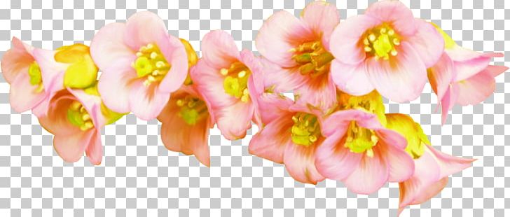 Petal Cut Flowers Floral Design Floristry PNG, Clipart, Blossom, Cut Flowers, Flora, Floral Design, Floristry Free PNG Download