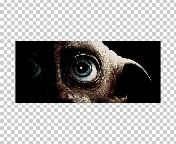 Dobby The House Elf Harry Potter And The Deathly Hallows Hermione Granger Draco Malfoy PNG, Clipart, Carnivoran, Cat Like Mammal, Closeup, Comic, Dobby Free PNG Download