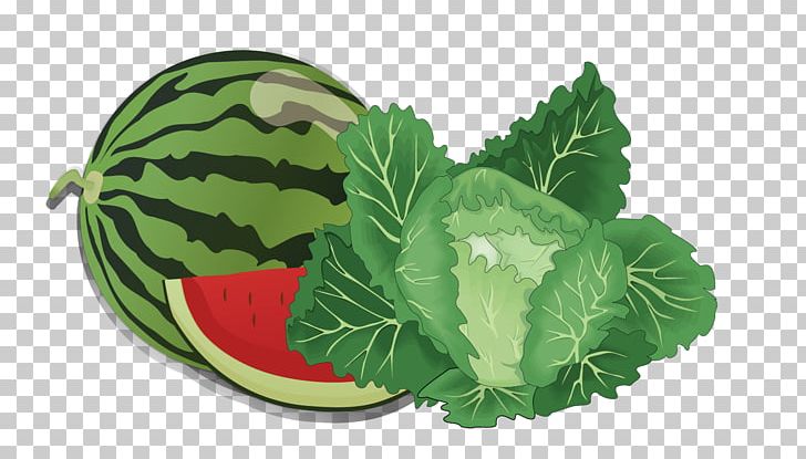 Fruit Vegetable PNG, Clipart, Cabbage, Cabbage Vector, Cart, Cucumber Gourd And Melon Family, Dried Fruit Free PNG Download