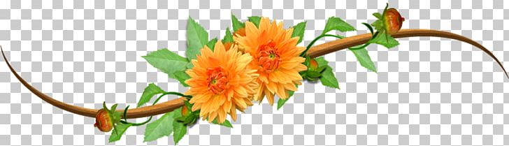 No Orange PNG, Clipart, Chrysanthemum, Clip Art, Color, Cut Flowers, Floral Design Free PNG Download
