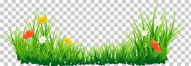 Free Content PNG, Clipart, Blog, Commodity, Computer Wallpaper, Download, Flower Grass Cliparts Free PNG Download