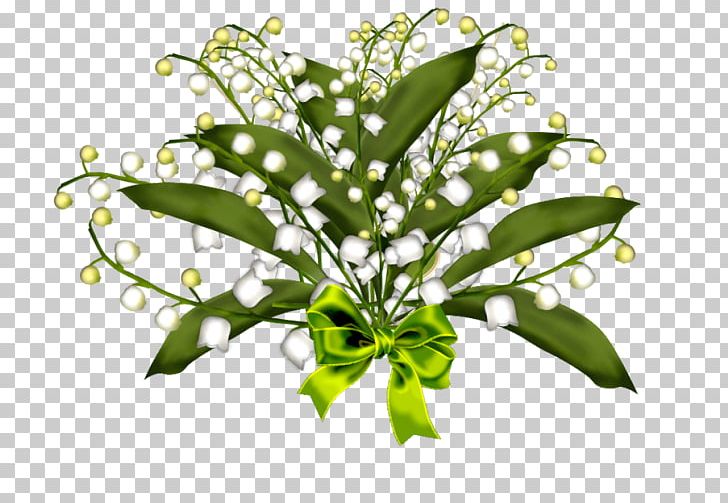 Lily Of The Valley Flower 1 May Plant Stem PNG, Clipart,  Free PNG Download