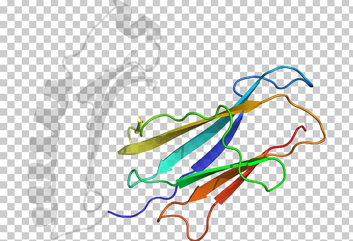 Line Point PNG, Clipart, Area, Art, Cyclindependent Kinase 1, Line, Organism Free PNG Download