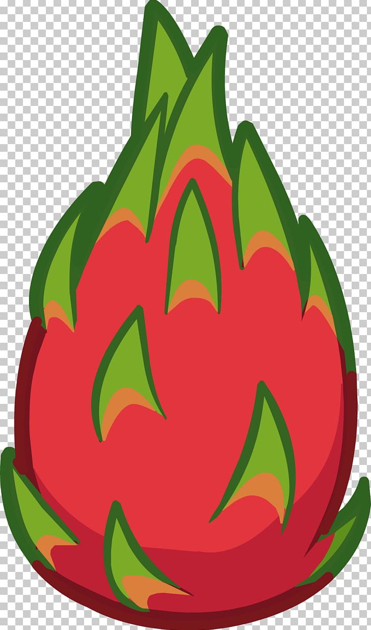 Pitaya Fruit PNG, Clipart, Apple, Berry, Computer Icons, Drawing, Flower Free PNG Download