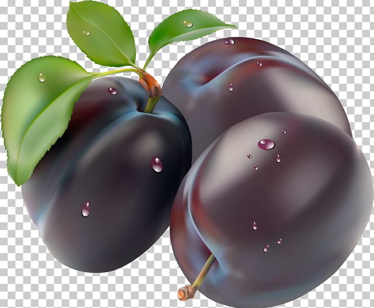 Plum PNG, Clipart, Plum Free PNG Download