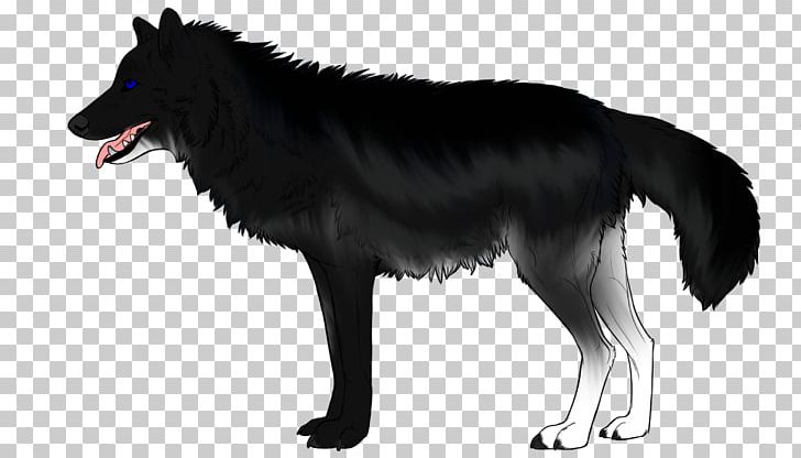 Wolfdog Black Wolf White PNG, Clipart, Black, Black And White, Black Wolf, Can Stock Photo, Carnivoran Free PNG Download