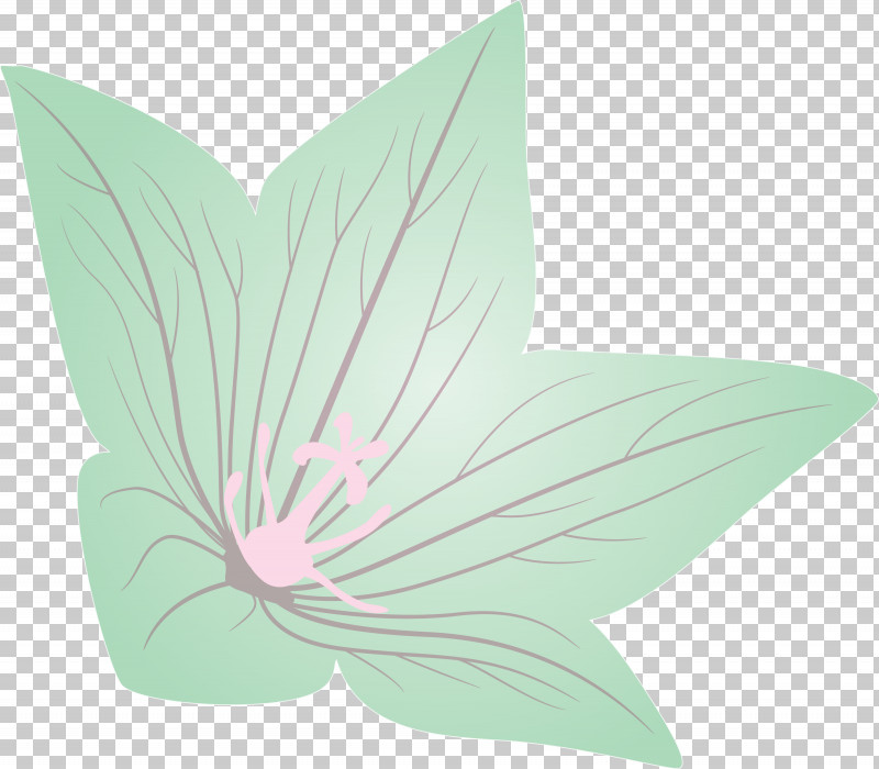 Balloon Flower PNG, Clipart, Balloon Flower, Biology, Butterflies, Flower, Green Free PNG Download