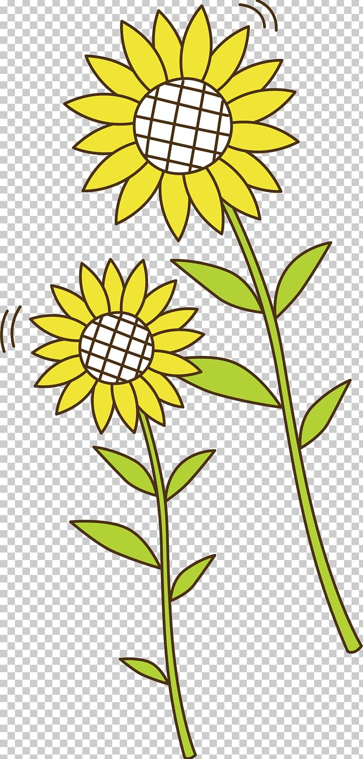 Common Sunflower Euclidean PNG, Clipart, Cartoon, Daisy Family, Design Element, Flower, Flowers Free PNG Download