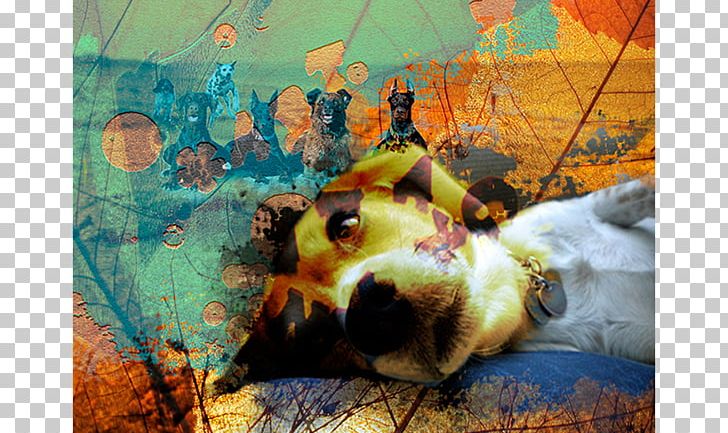 Dog Painting Desktop Snout Photography PNG, Clipart, Animals, Art, Carnivoran, Computer, Computer Wallpaper Free PNG Download