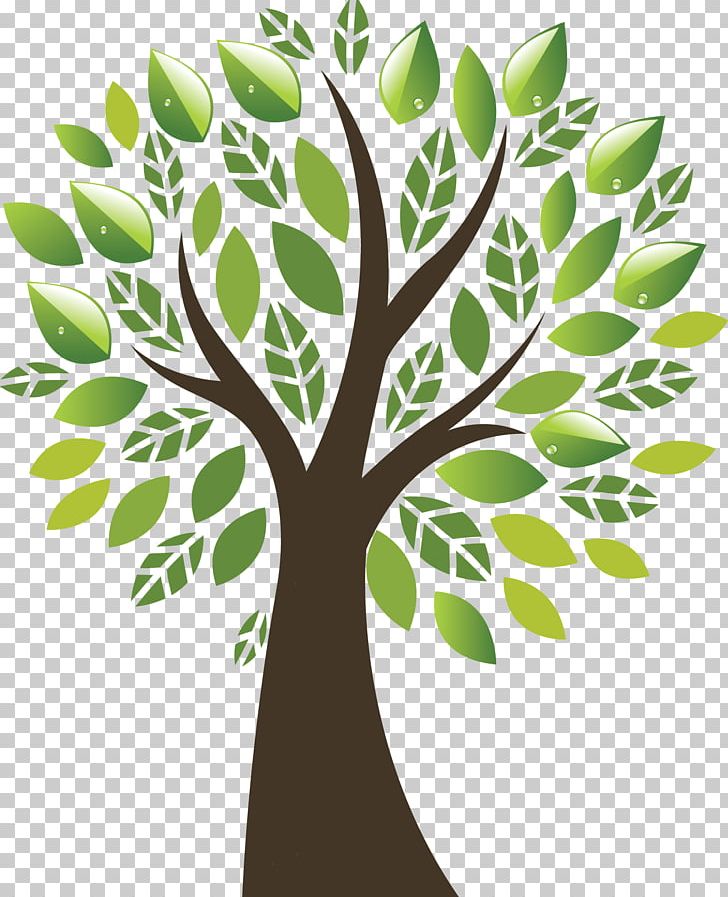Donation Resource Family Organization Research PNG, Clipart, Branch, Casein, Charitable Organization, Community, Flora Free PNG Download