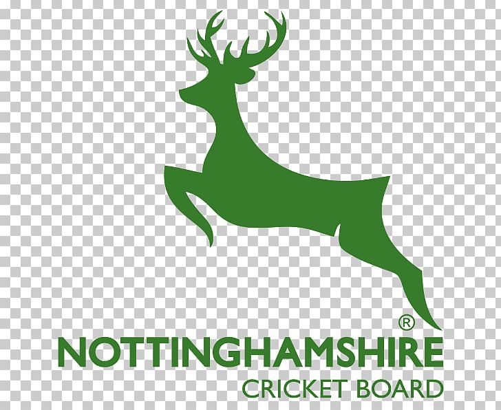 Nottinghamshire County Cricket Club County Championship Hampshire County Cricket Club Twenty20 Cup 2017 NatWest T20 Blast PNG, Clipart, Antler, Brand, County Championship, Deer, Edgbaston Cricket Ground Free PNG Download