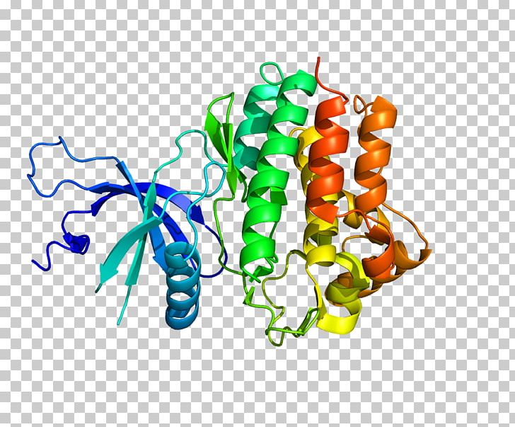 Janus Kinase 1 Cytokine Receptor Tyrosine Kinase PNG, Clipart, Ciliary Neurotrophic Factor, Common Gamma Chain, Cytokine, Food, Glycoprotein 130 Free PNG Download