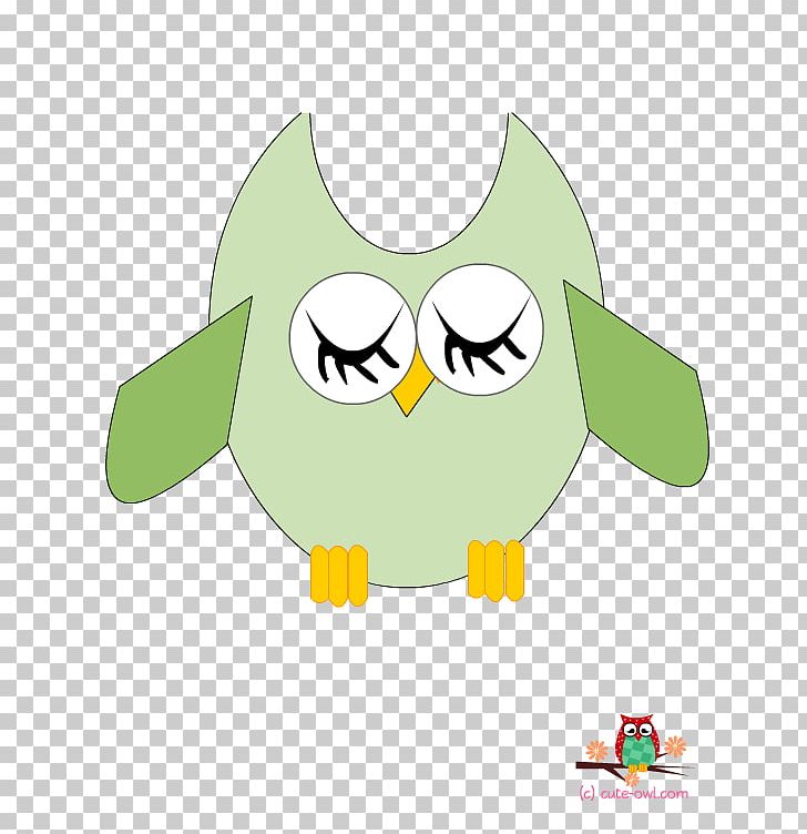 Owl Bird Wall Decal Sticker PNG, Clipart, Animals, Beak, Bird, Bird Of Prey, Cartoon Free PNG Download