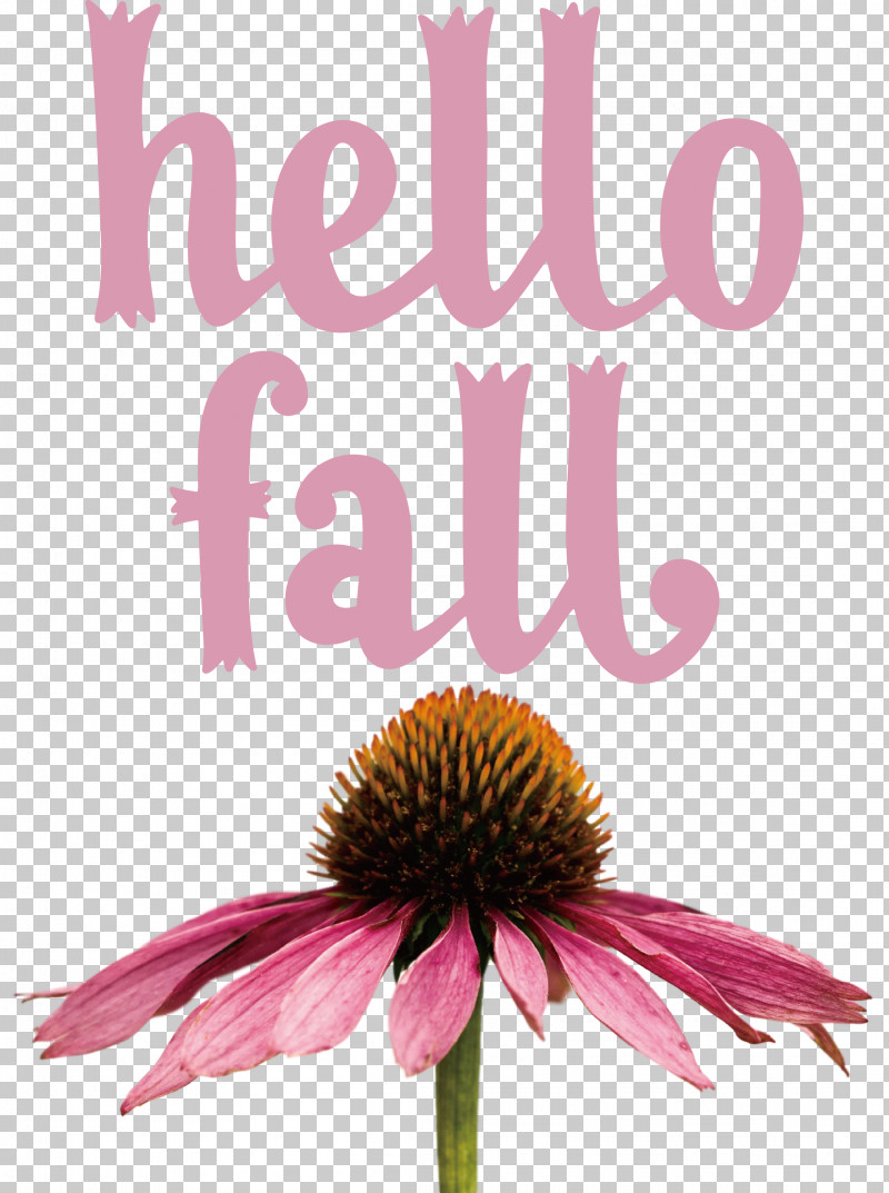 Hello Fall Fall Autumn PNG, Clipart, Autumn, Biology, Coneflower, Cut Flowers, Fall Free PNG Download