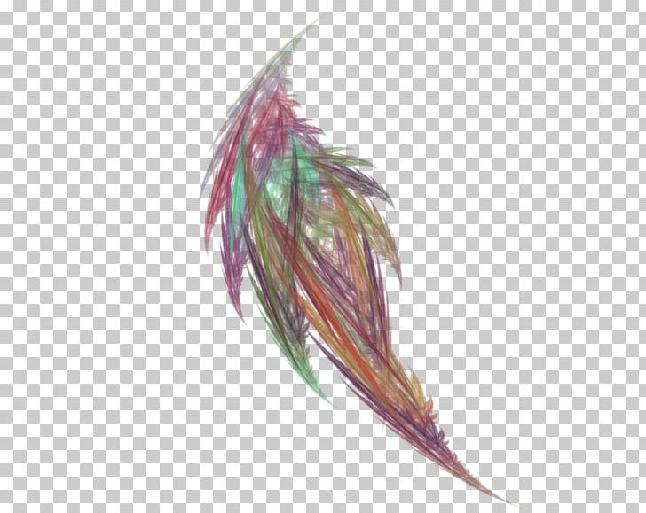 Feather Fractal PNG, Clipart, Animals, Art, Color, Deviantart, Feather Free PNG Download