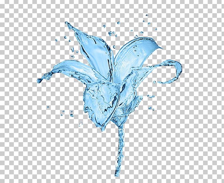 Lilium Blue Drop Flower PNG, Clipart, Binghua, Blue, Blue Abstract, Blue Background, Blue Border Free PNG Download