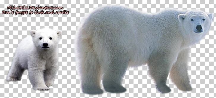 Polar Bear PNG, Clipart, Alpha Compositing, Animal Figure, Animals, Background, Bear Free PNG Download