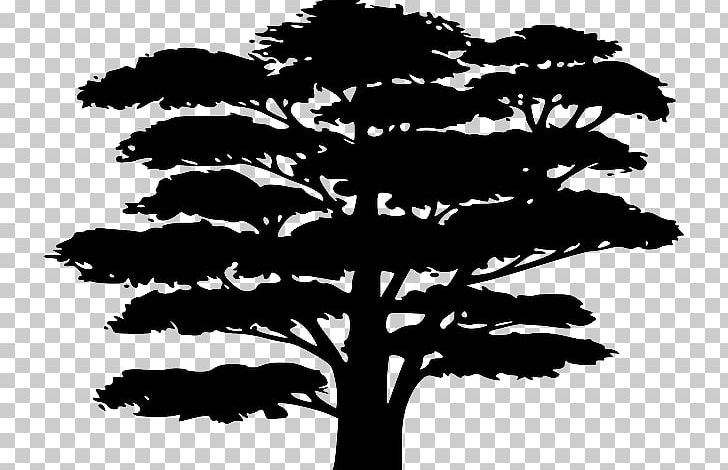 Silhouette Tree This I Call To Mind PNG, Clipart, Black And White, Branch, Conifer, Drawing, Flowering Plant Free PNG Download