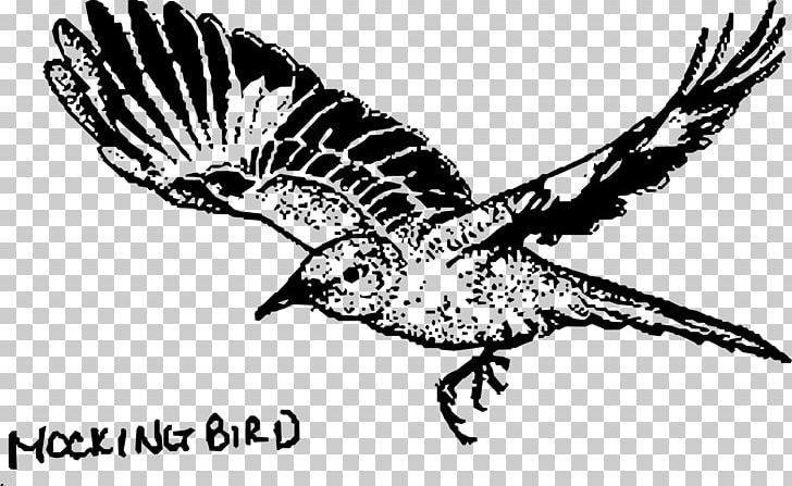 To Kill A Mockingbird Drawing Line Art PNG, Clipart, Animals, Beak, Bird, Bird Of Prey, Black And White Free PNG Download