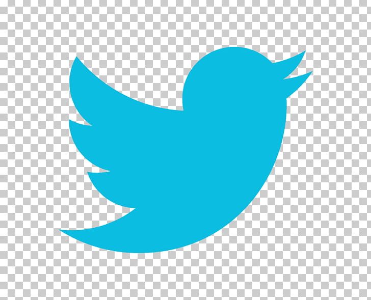 User Social Media NYSE:TWTR Streaming Media PNG, Clipart, Aqua, Azure, Beak, Bird, Computer Wallpaper Free PNG Download