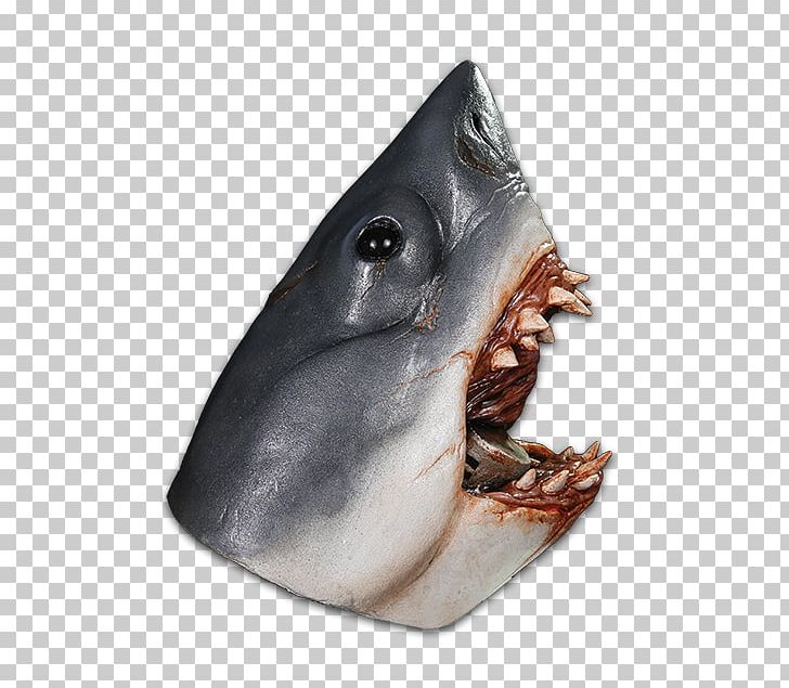 Land Shark Bruce Mask Great White Shark PNG, Clipart, Animals, Bruce, Carnival, Fauna, Film Free PNG Download