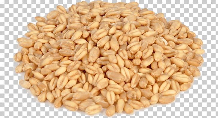 Oat Spelt Emmer Whole Grain Khorasan Wheat PNG, Clipart, Barley, Bread, Cereal, Cereal Germ, Commodity Free PNG Download